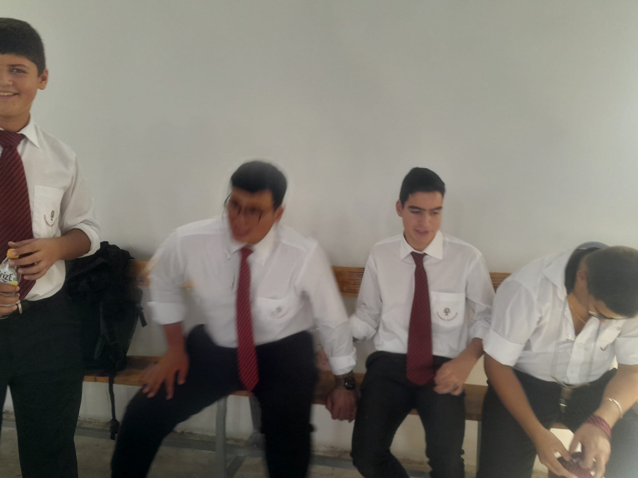 Concerto Alqueidão do Rei 12